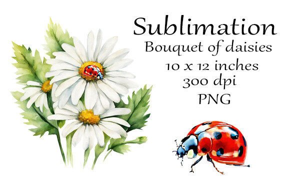 Watercolor Sublimation Bouquet of Daisie